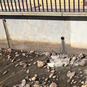 Illicit Discharge of Paint 
