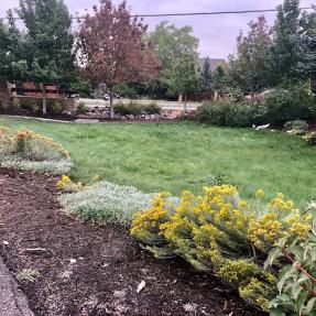 Roadside Raingarden – 4051 Broadway