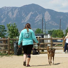 Dog and owner at Valmont Dog Park