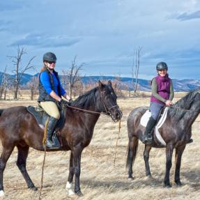 Two equestrians