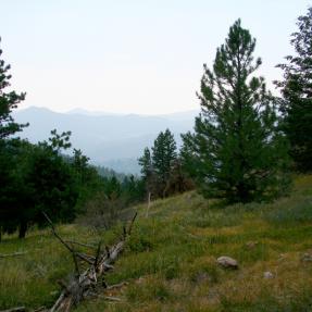 Bear Peak West Ridge