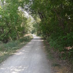 West section of Cottontail Trail