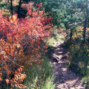 Gregory Canyon Trail in fall