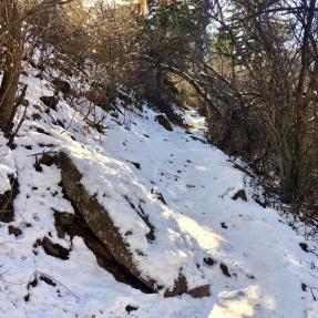 McClintock Trail in winter