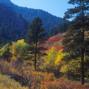 Flagstaff Trail in autumn