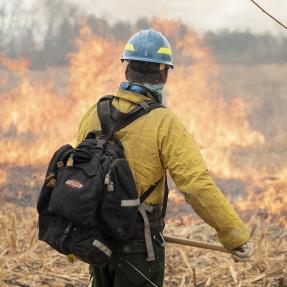City of Boulder regularly conducts prescribed burns