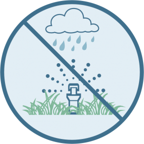 Don't Water When It's Raining Icon