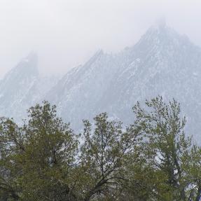 Photo of mountains in fog, trees in the foreground.