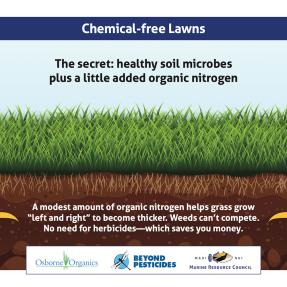 Infographic about chemical-free lawns