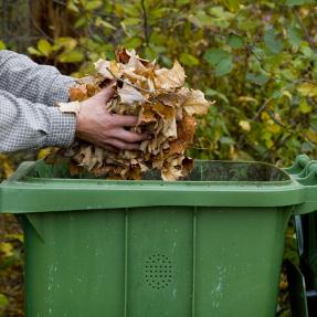 A man places raked leaves into his curbside compost bin