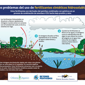 Infografía sobre los problemas de los fertilizantes nitrogenados sintéticos