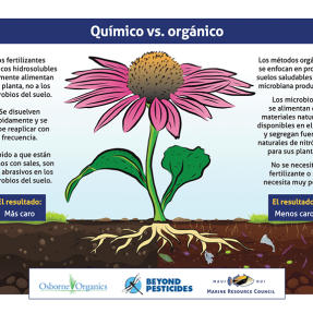  Infografía que muestra la diferencia entre fertilizantes químicos y orgánicos.