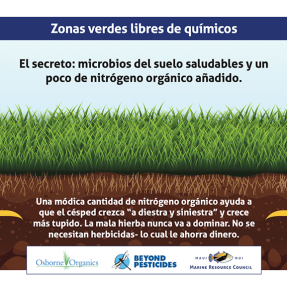 Infografía que muestra cómo los céspedes orgánicos crean un césped más fuerte
