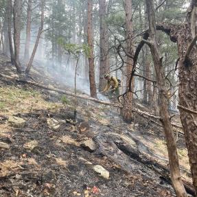 Firefighter working on OSMP land near NOAA