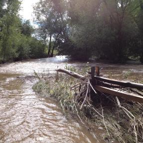 Flooded road
