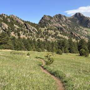 Goshawk Trail on City of Boulder open space