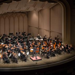 An orchestra conductor directs a large orchestra featuring a variety of instruments, in a concert hall