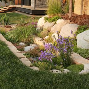 Residential rain gardens in Trailhead Neighborhood