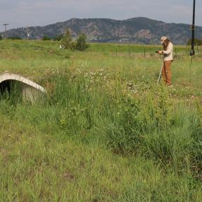 Stormwater inspector at Alexa Diagonal Crossing