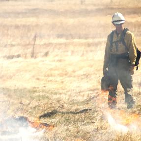 A Boulder firefighter monitors a prescribed burn