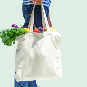 Person holding a reusable bag filled with groceries 