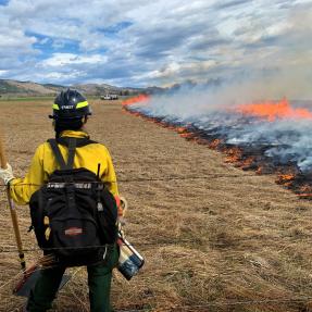 A wildland firefighter monitors a perscribed burn in a grassy field. 