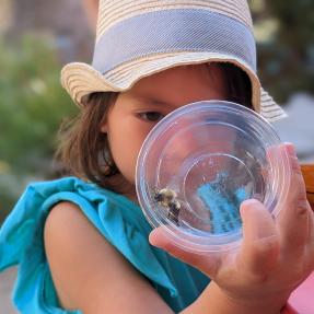 Child examining a bee inside of a transparent glass