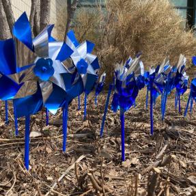 Blue and silver pinwheels in mulch in front of a city building