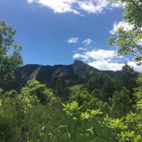 Photo of Chautauqua Park with Flatirons in background and blue sky