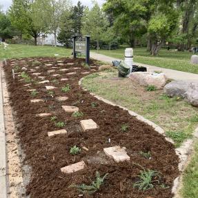 Freshly planted water efficient garden located at Emma Gomez Park