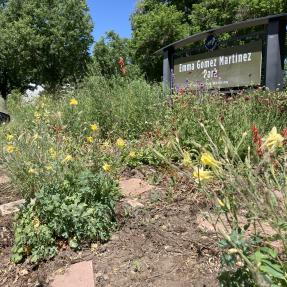 Emma Gomez Park Demo Garden Year 2