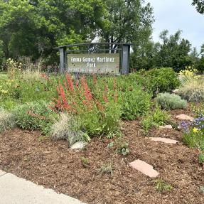 Emma Gomez Park Demo Garden Year 3