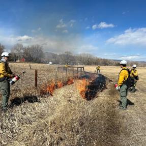 City to conduct a prescribed burn today north of Coot Lake