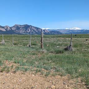View of the Flatirons and a snowy Longs Peak from the Coalton Trail