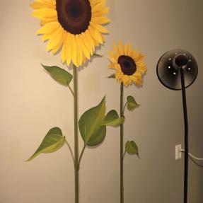 Large scale sunflowers with shadows to convey depth