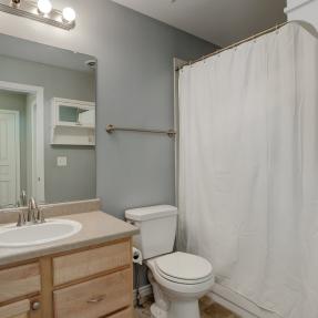 17-4181 Lonetree Ct_Bathroom1 2.jpg