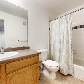 Hall Bathroom