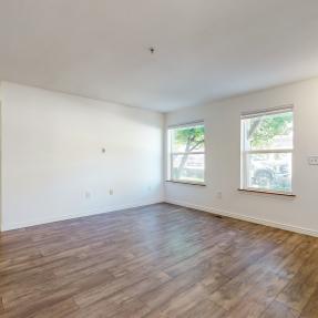 Livingroom windows