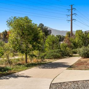 2910 Bluff St #111 Picture of walkway sidewalk pathway trail