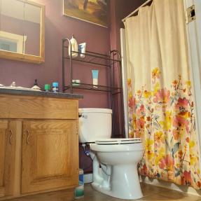 4549 Sunnyside Bathroom