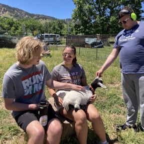 Camp Amico campers petting a goat