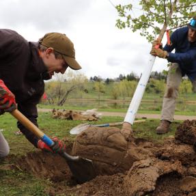 Volunteer with the group CommuniTYler plants a tree with a Boulder Forestry crew member