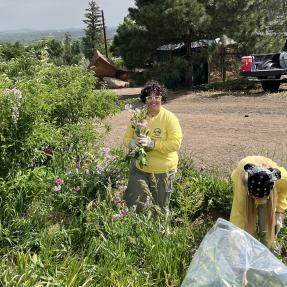 Junior rangers pull invasive weeds by the Chautauqua trailhead 