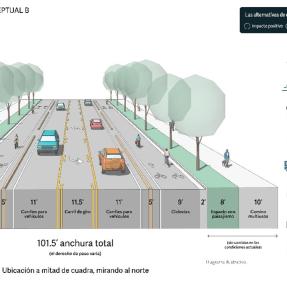 Alternativa B. Segmento central. Descripción detallada ven la página web.