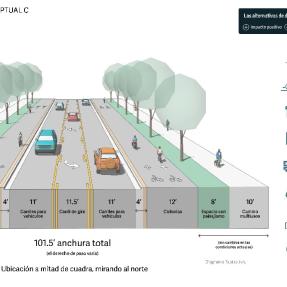 Alternativa C. Segmento central. Descripción detallada ven la página web