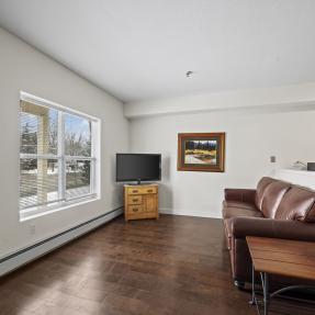3380 Folsom #115 - Livingroom Couch and TV area