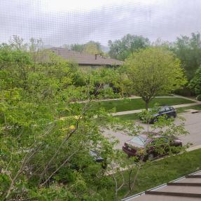 3295 Big Horn Street outside view from patio