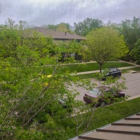 3295 Big Horn Street patio view of neighborhood