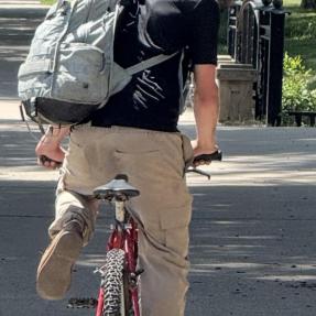 Chain Assault Suspect