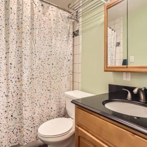 3249 Big Horn Street Unit C Boulder CO 80301 Lower level Bathroom